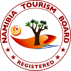 NTB Logo